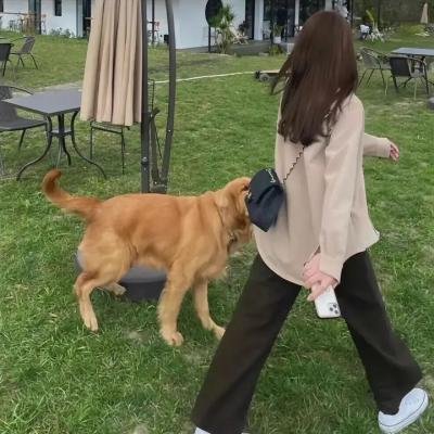 秘门交易丑闻